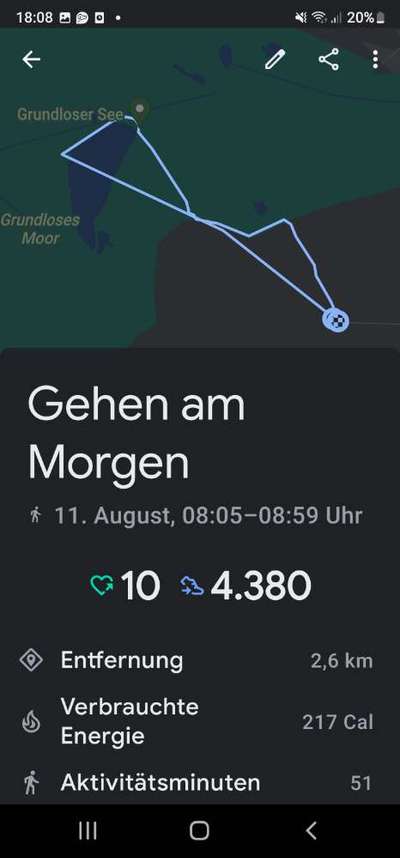 Französische Bulldoggen-Beitrag-Bild