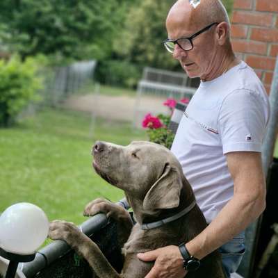 Hundetreffen-Hundetreff-Bild