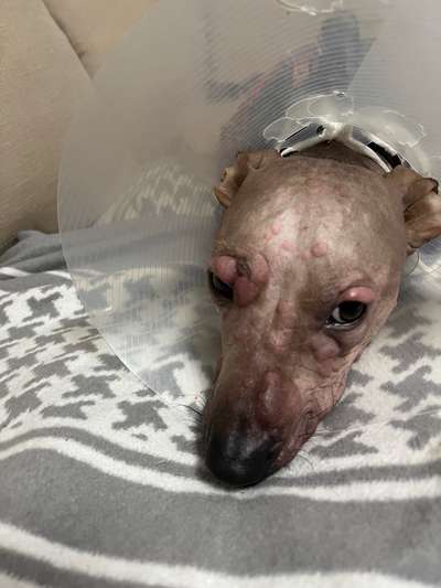 Ich brauche dringend Hilfe-Beitrag-Bild