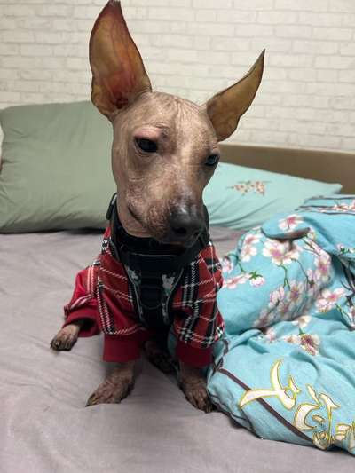 Ich brauche dringend Hilfe-Beitrag-Bild