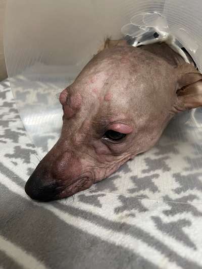 Ich brauche dringend Hilfe-Beitrag-Bild