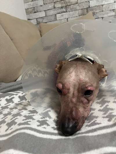 Ich brauche dringend Hilfe-Beitrag-Bild