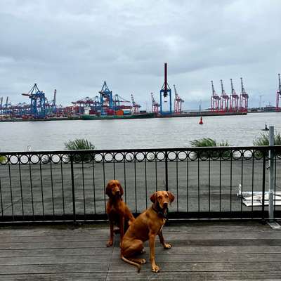 Mit oder ohne Unterfell?-Beitrag-Bild