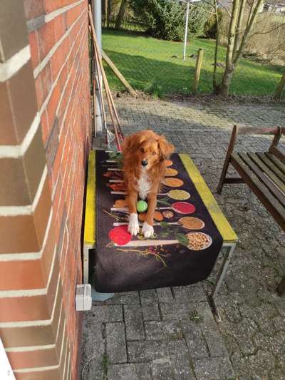 Lieblings Fotos-Beitrag-Bild