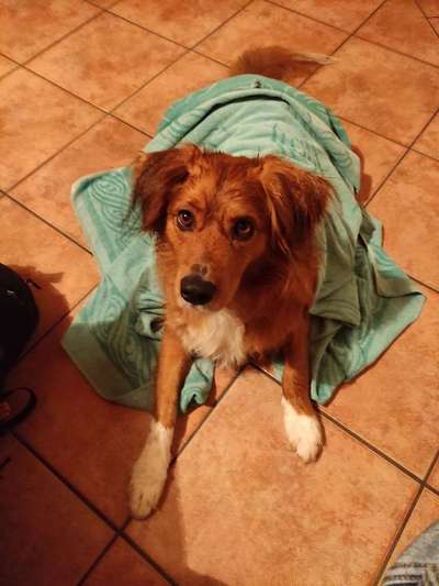 Lieblings Fotos-Beitrag-Bild