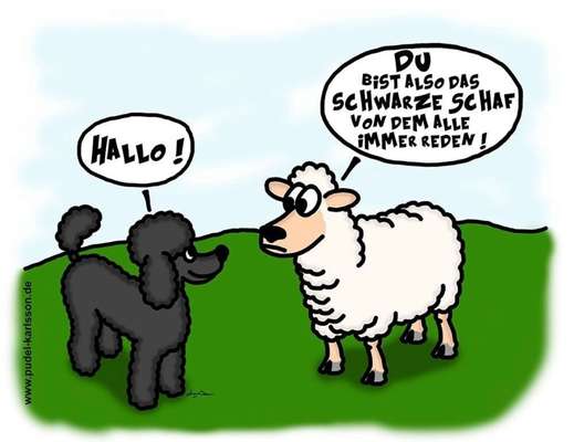 Hunde Memes-Beitrag-Bild