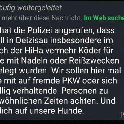 Giftköder-Mit Nadeln/Reisszwecken präp. Köder!-Bild