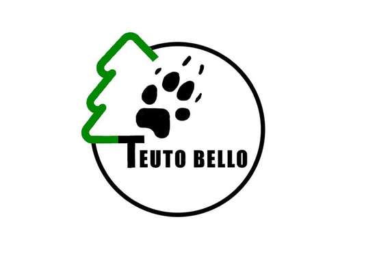 Hundeschulen-Teuto Bello-Bild
