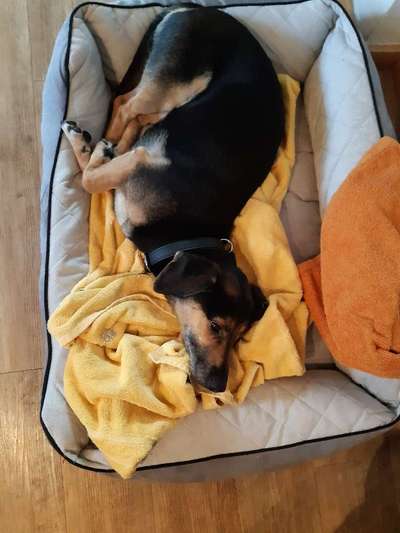 Die unbequemsten und lustigsten Schlafpositionen-Beitrag-Bild