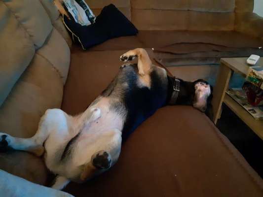 Die unbequemsten und lustigsten Schlafpositionen-Beitrag-Bild