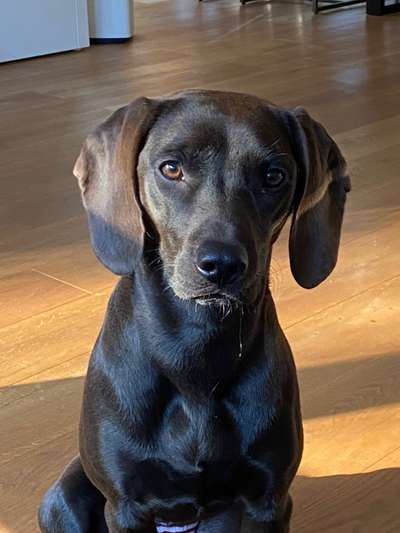 Fotochallange Nr. 57     PORTRÄT.   Beendet!!!!!!!!-Beitrag-Bild