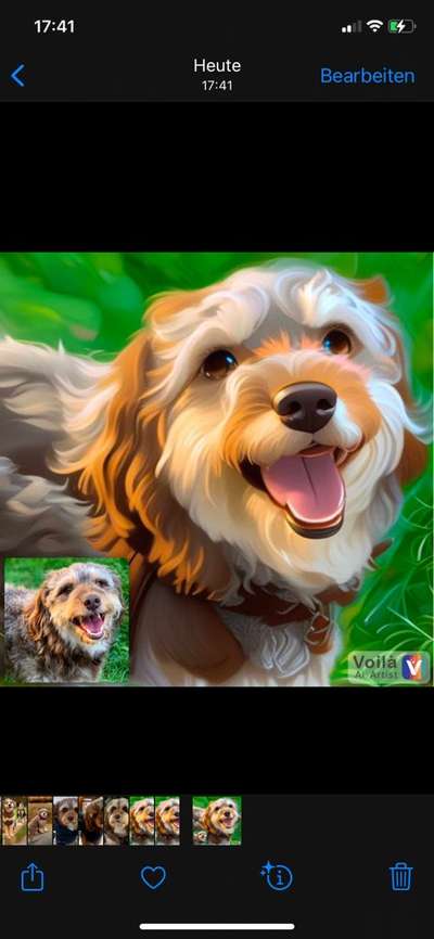 Voila app Bilder-Beitrag-Bild