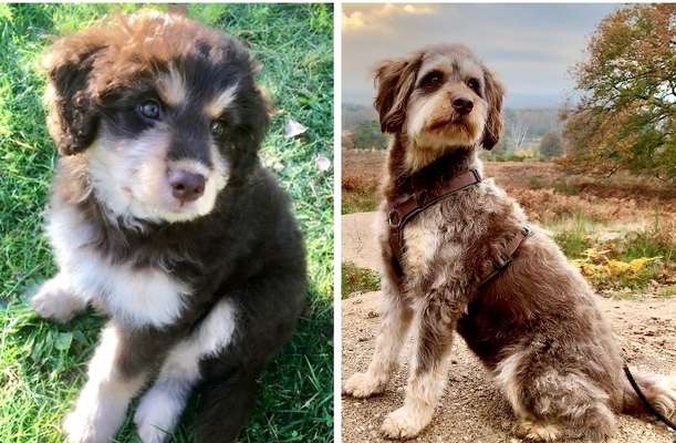 28. Handy-Fotochallenge - Damals und heute-Beitrag-Bild