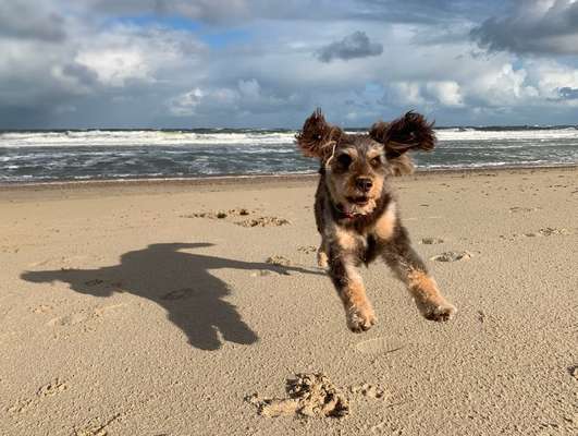 Fotochallenge Nr.100 Urlaubsimpressionen-Beitrag-Bild