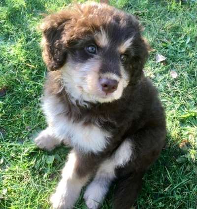 69. Handy-Fotochallenge: Soundtrack-Beitrag-Bild