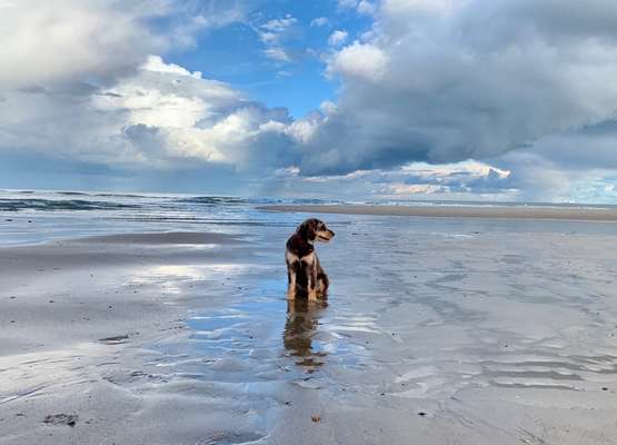 10. Farben Foto-Challenge ---- Blau-Beitrag-Bild