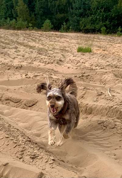 20. Handy -Foto-Callenge-Beitrag-Bild