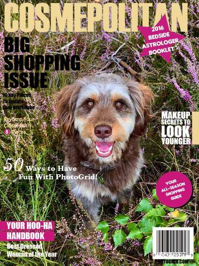 Photoshop und Co.-Beitrag-Bild