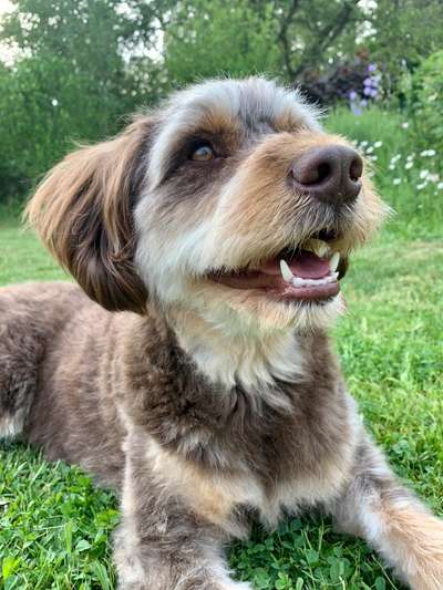 Fotochallenge Nr.89 - Charakter und Wesen-Beitrag-Bild