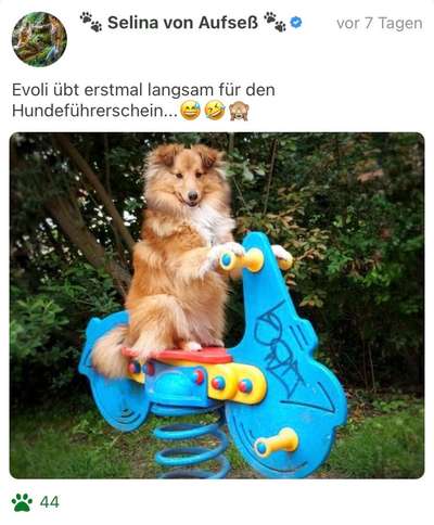 Fotochallenge 101:
On Tour-Beitrag-Bild