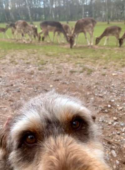 154. FotoChallenge * AUFS BILD GEMOGELT *-Beitrag-Bild