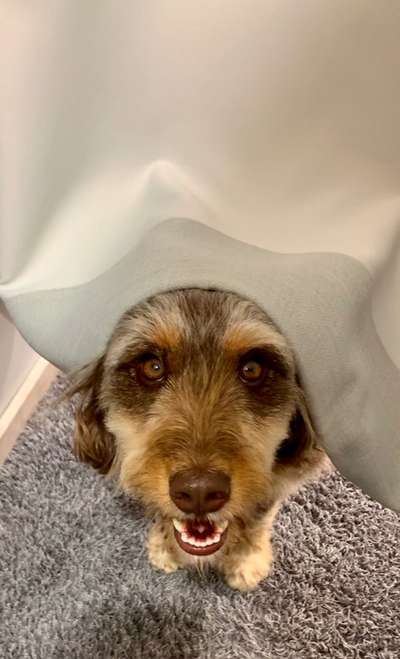 14. Farbenfoto-Challenge "Weiss"-Beitrag-Bild