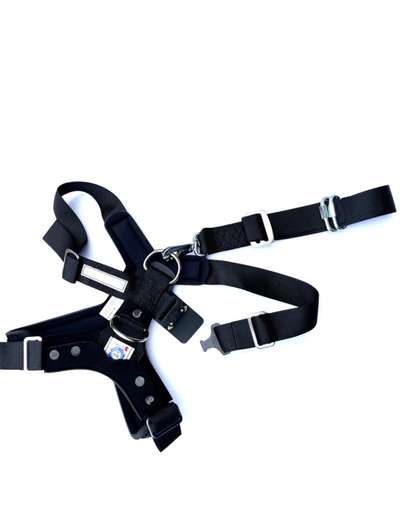 Transport auf der Rückbank-Beitrag-Bild