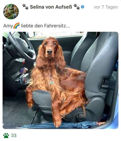 Fotochallenge 101:
On Tour-Beitrag-Bild