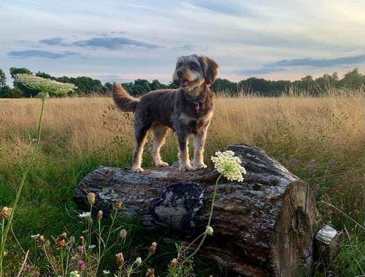 27. Handy Fotochallenge-Beitrag-Bild