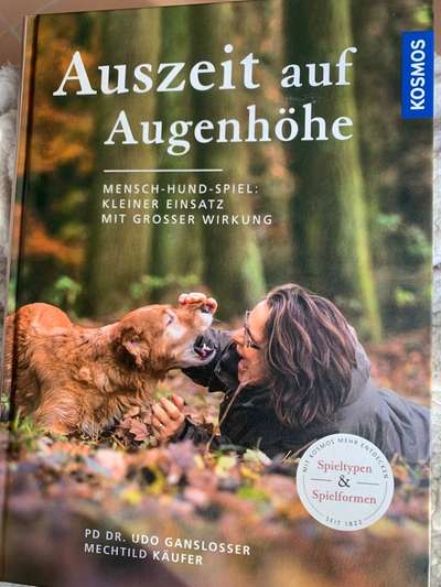 Wie spielt ihr mit euren Hunden?-Beitrag-Bild