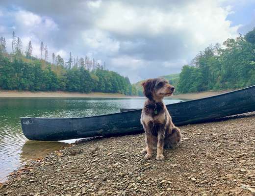 141. FOTO CHALLENGE 
Reisende soll man nicht aufhalten-Beitrag-Bild