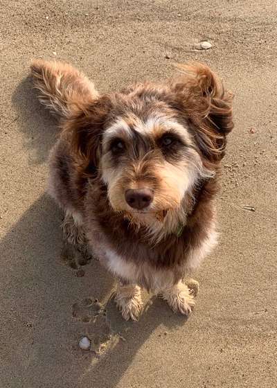 Handy-Foto Challange Nr. 10-Beitrag-Bild