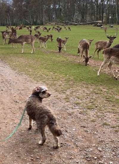 Fotochallenge 87: Im Park-Beitrag-Bild