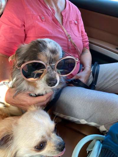 CHALLENGE NR. 18 - ON TOUR-Beitrag-Bild