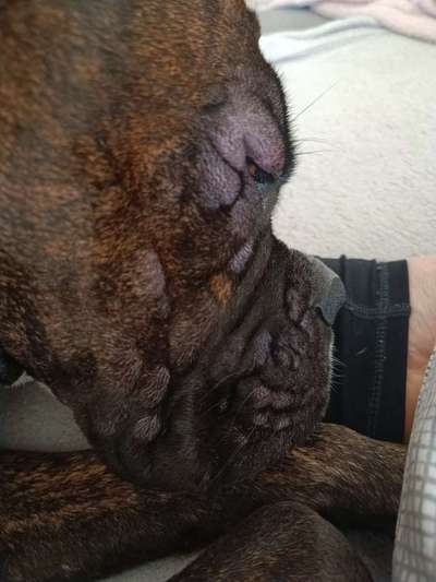 Ich brauche dringend Hilfe-Beitrag-Bild