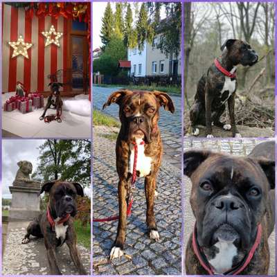 32. Collagen Challenge - eure liebsten gestellten Fotos-Beitrag-Bild