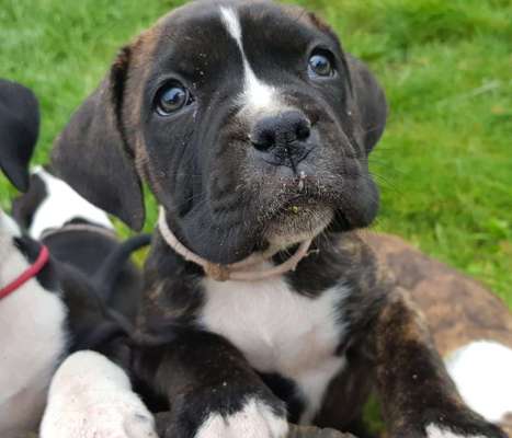 Sie werden so schnell erwachsen ...-Beitrag-Bild