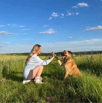 Hundetreffen-Social Walks