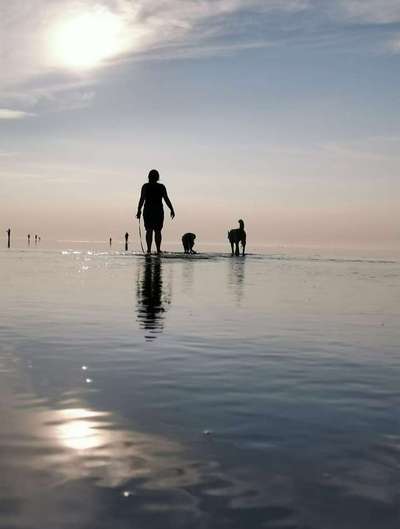 Die Dogorama Wochen Challenge-Beitrag-Bild