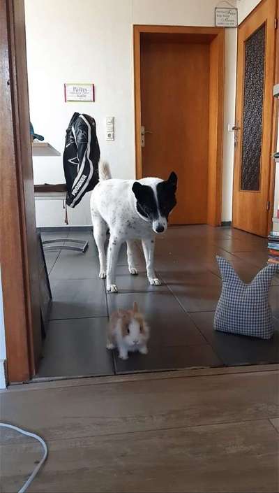 Challenge 30  Freundschaft-Beitrag-Bild