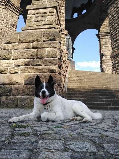 151. Photo Challenge: Sehenswürdigkeiten-Beitrag-Bild