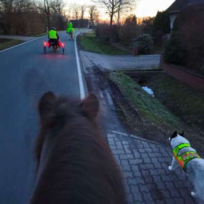 TierschutzhundeStammtisch🐕-Beitrag-Bild