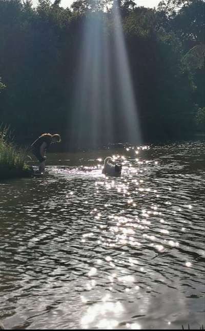 Theos  Fotochallenge Nummer 2-Beitrag-Bild