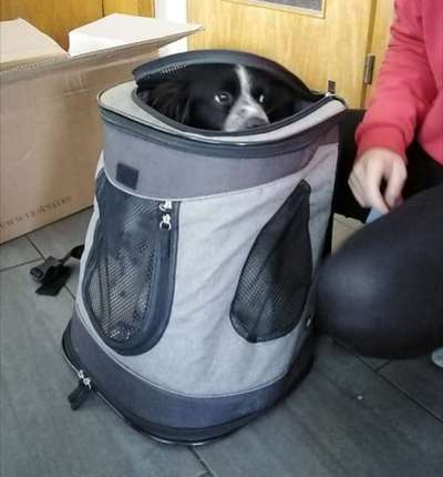 143. Fotochallenge: Ja, wo isser denn?-Beitrag-Bild