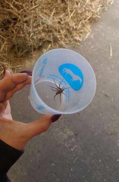 Was hat euch heute genervt?-Beitrag-Bild