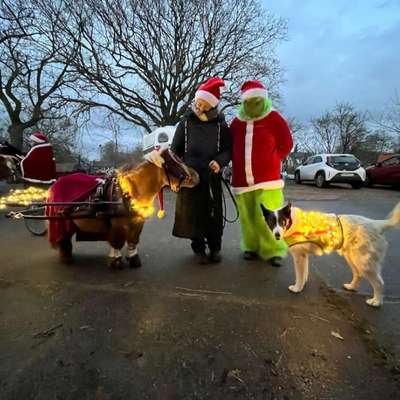 TierschutzhundeStammtisch🐕-Beitrag-Bild