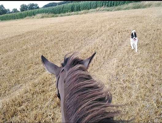 44. Foto - Challenge-Beitrag-Bild