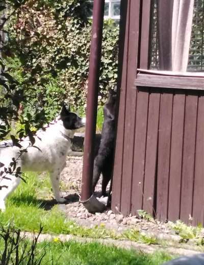 Foto Challenge Nr.135-Beitrag-Bild