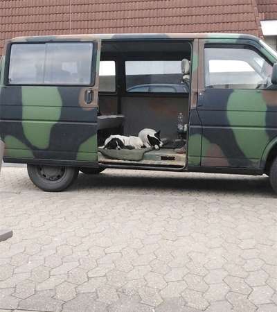 117. Fotochallenge-Beitrag-Bild