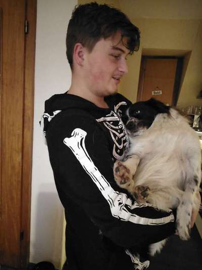 TierschutzhundeStammtisch🐕-Beitrag-Bild